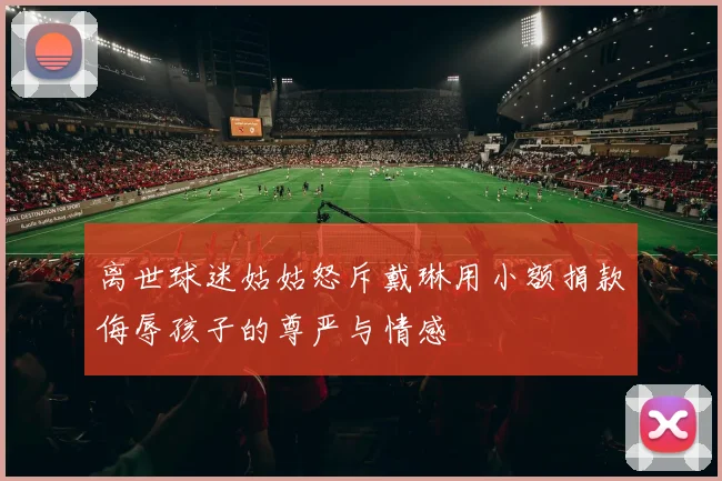 离世球迷姑姑怒斥戴琳用小额捐款侮辱孩子的尊严与情感