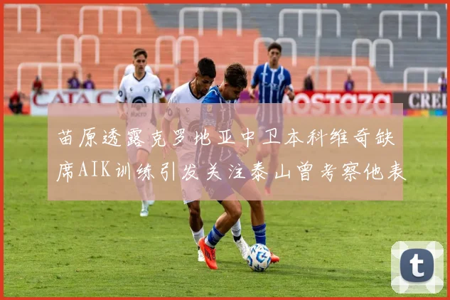 苗原透露克罗地亚中卫本科维奇缺席AIK训练引发关注泰山曾考察他表现