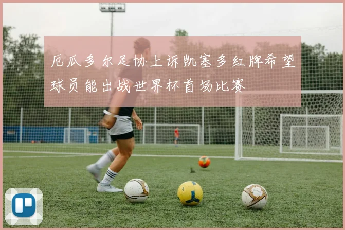 厄瓜多尔足协上诉凯塞多红牌希望球员能出战世界杯首场比赛